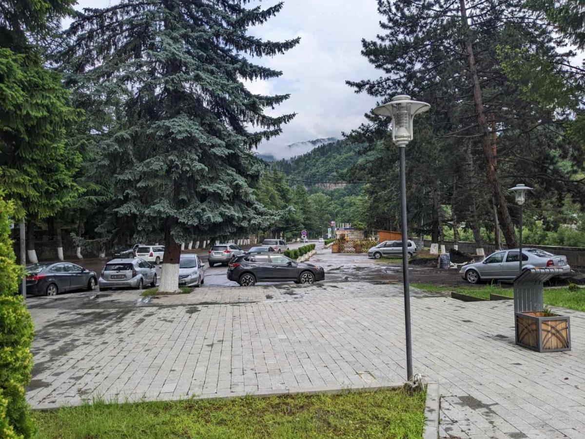 Riverside 보르조미 외부 사진